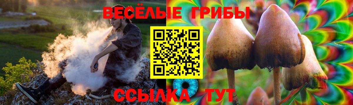 Псилоцибиновые грибы прущие грибы  Вход с VPN  Псилоцибиновые грибы MAGIC MUSHROOMS  Елабуга 
